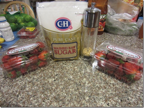 Strawberry White Pepper Sorbet Recipe Cook Geek 002