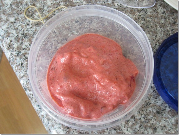 Strawberry White Pepper Sorbet Recipe Cook Geek 022