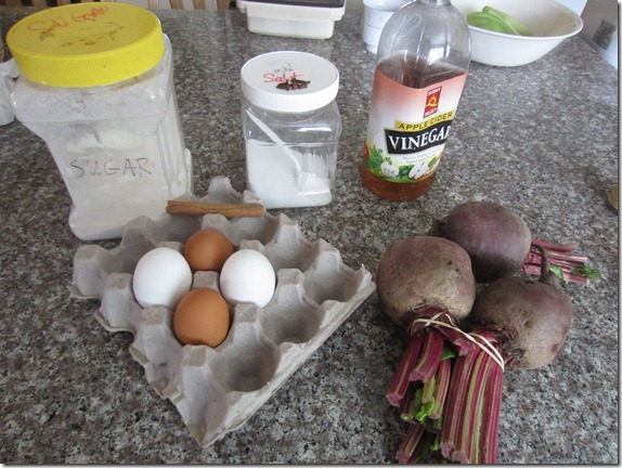 Beet Egg Recipe Cook Geek 004