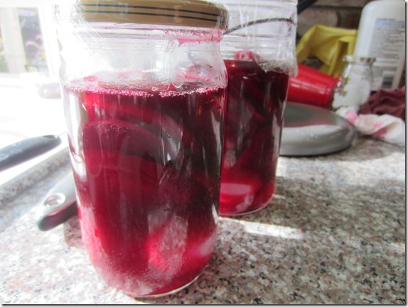 Beet Egg Recipe Cook Geek 020