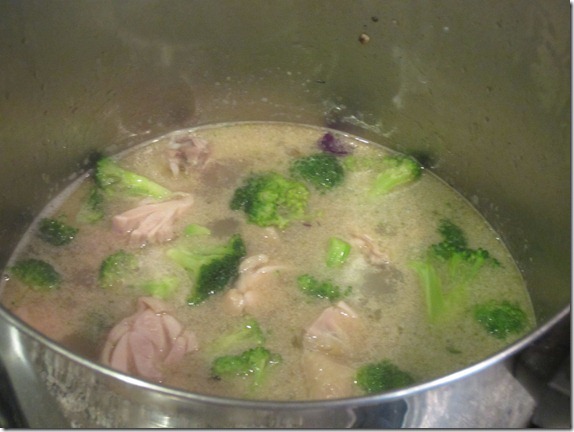 Turkey Stock Chicken Soup Recipe Cook Geek 015