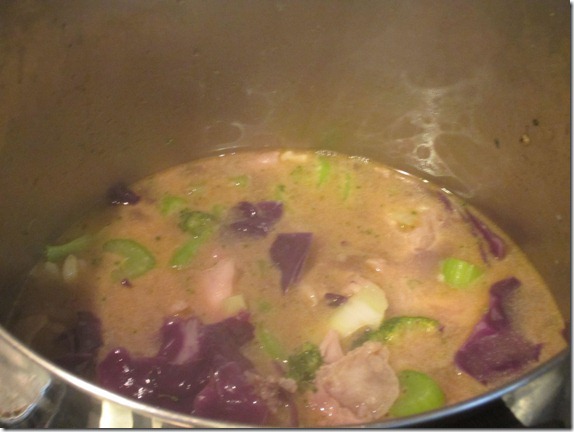 Turkey Stock Chicken Soup Recipe Cook Geek 018