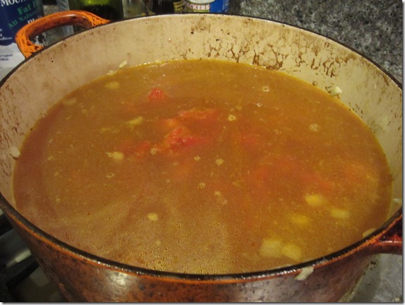 Curried Lentil Soup Cook Geek 015