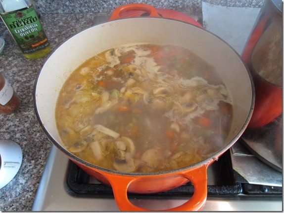 Leftover Turkey Soup Recipe 027